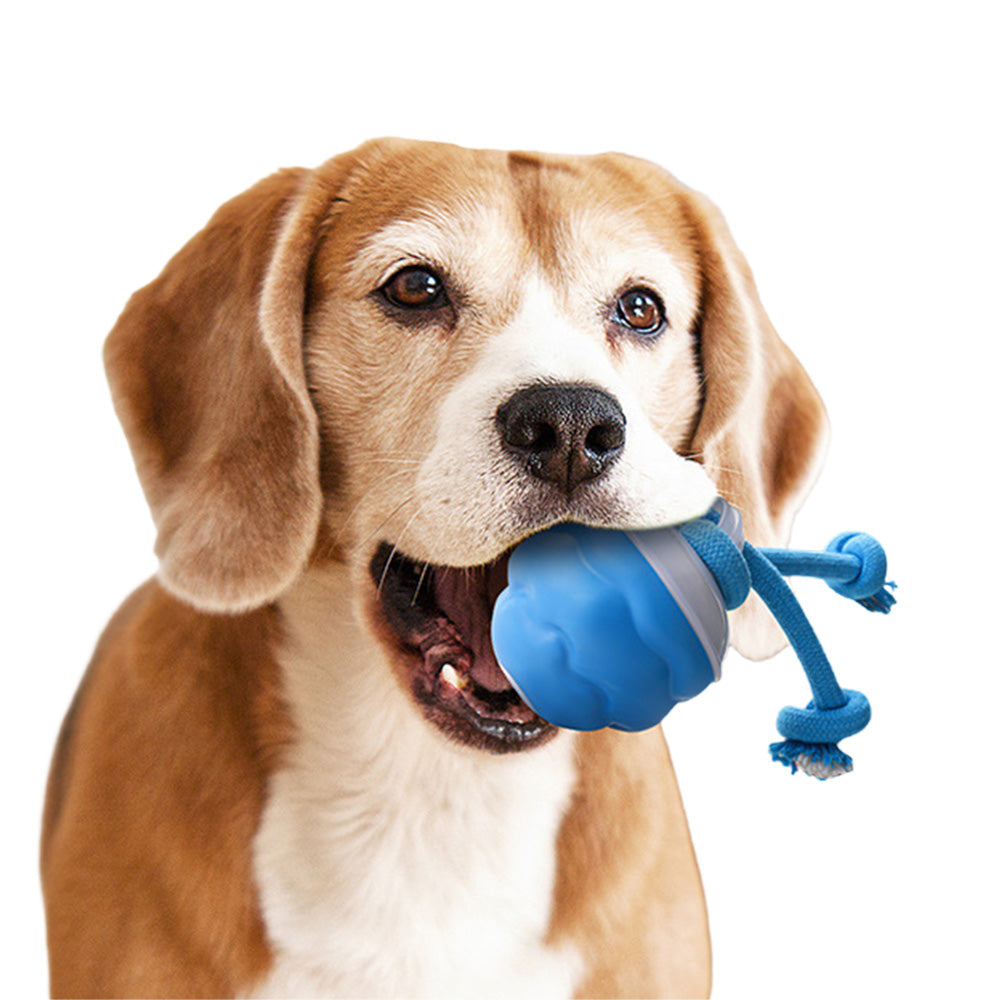 Interactive Dog Toys with Motion Activated Active Rolling Ball Wicked Ball