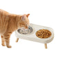 Elevated Double Stainless Steel Pet Food and Water Bowl Set