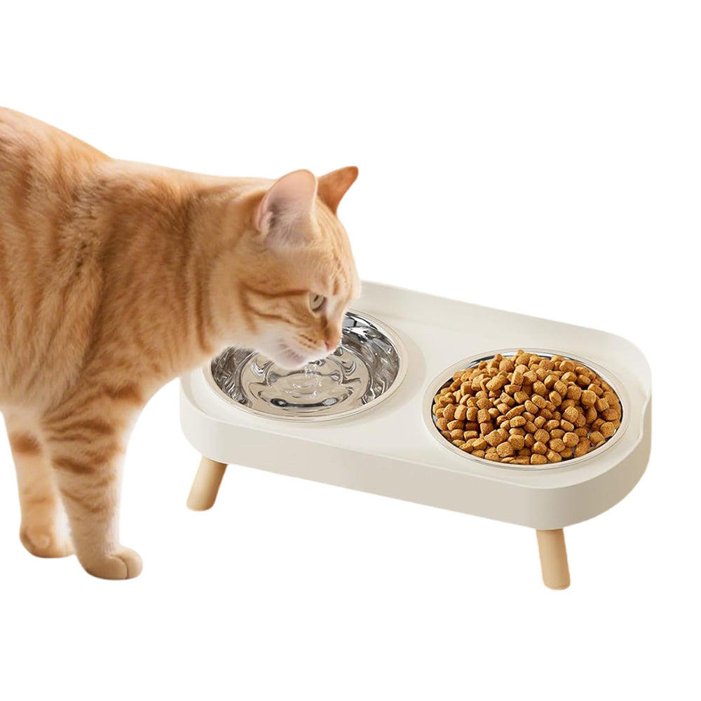 Elevated Double Stainless Steel Pet Food and Water Bowl Set
