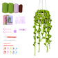 DIY Crochet Kit Crochet Hanging Plant Ornament