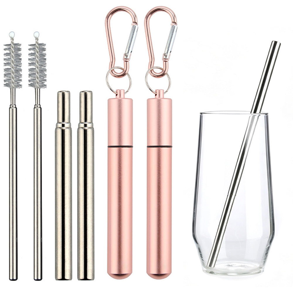 2 Pack Collapsible Stainless Steel Travel Straws with Keychain Cases