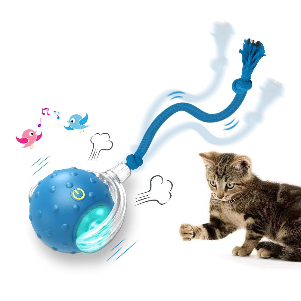 Automatic Rolling Ball Motion Activated Smart Rolling Cat Toy Ball