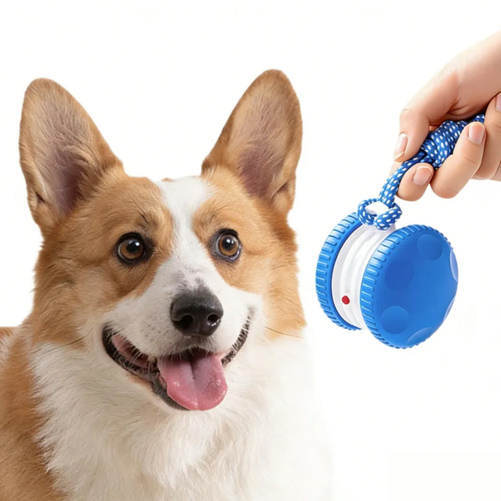 Interactive Pet Rolling Ball Toy Rechargeable Automatic Play Ball for Cats and Dogs