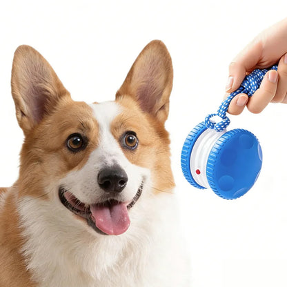 Interactive Pet Rolling Ball Toy Rechargeable Automatic Play Ball for Cats and Dogs