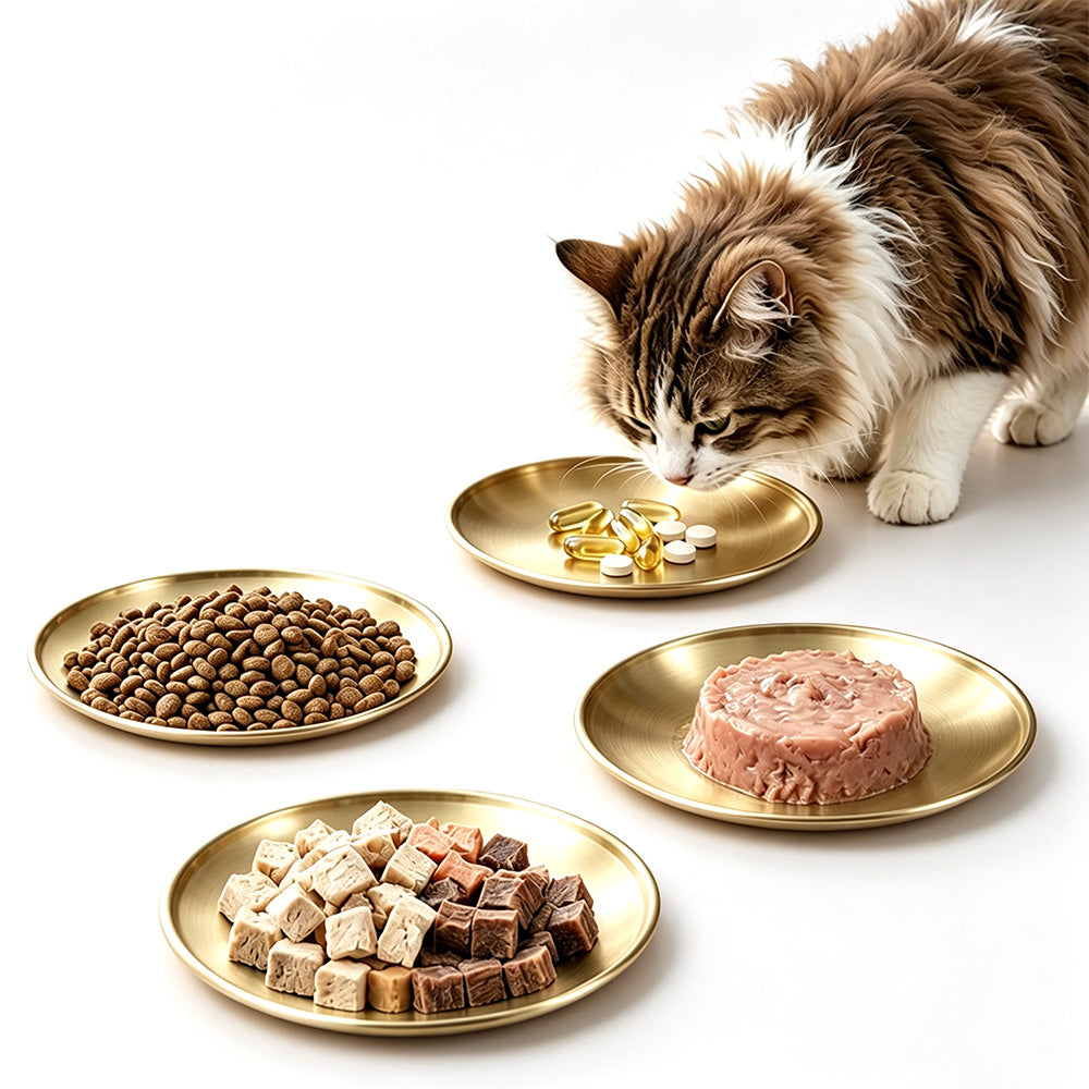 4Pcs Stainless Steel Pet Bowls Durable Shallow Pet Feeding Dishes for Cats Dogs-Gold
