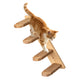 Wall Mounted Cat Climbing Shelf Cat Ladder Cat Wall Furniture Steps