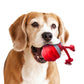 Interactive Dog Toys with Motion Activated Active Rolling Ball Wicked Ball