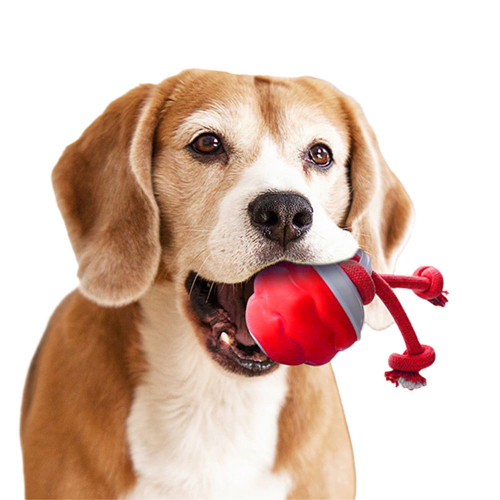Interactive Dog Toys with Motion Activated Active Rolling Ball Wicked Ball