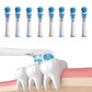 8 Pack Dual Clean Replacement Brush Heads Compatible with Oral-B Electric Toothbrush