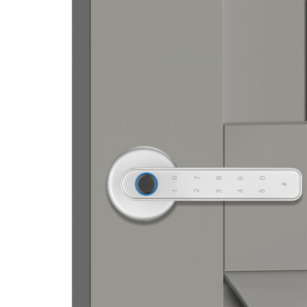 Smart Fingerprint Password Handle Door Lock with Tuya APP