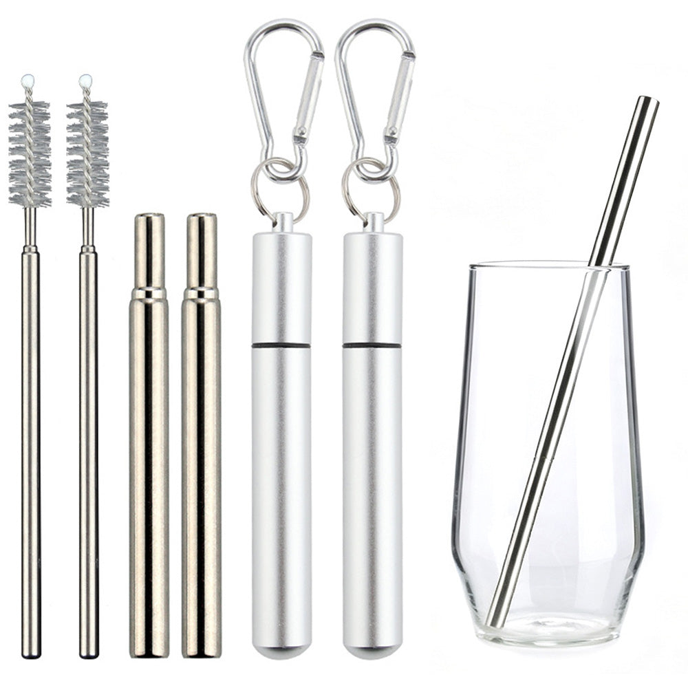 2 Pack Collapsible Stainless Steel Travel Straws with Keychain Cases