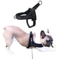 Breathable Mesh Padded Dog Harness No-Pull Vest