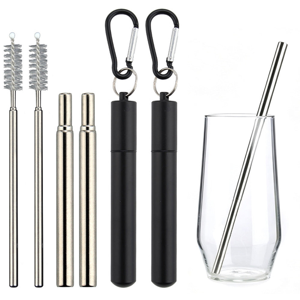 2 Pack Collapsible Stainless Steel Travel Straws with Keychain Cases