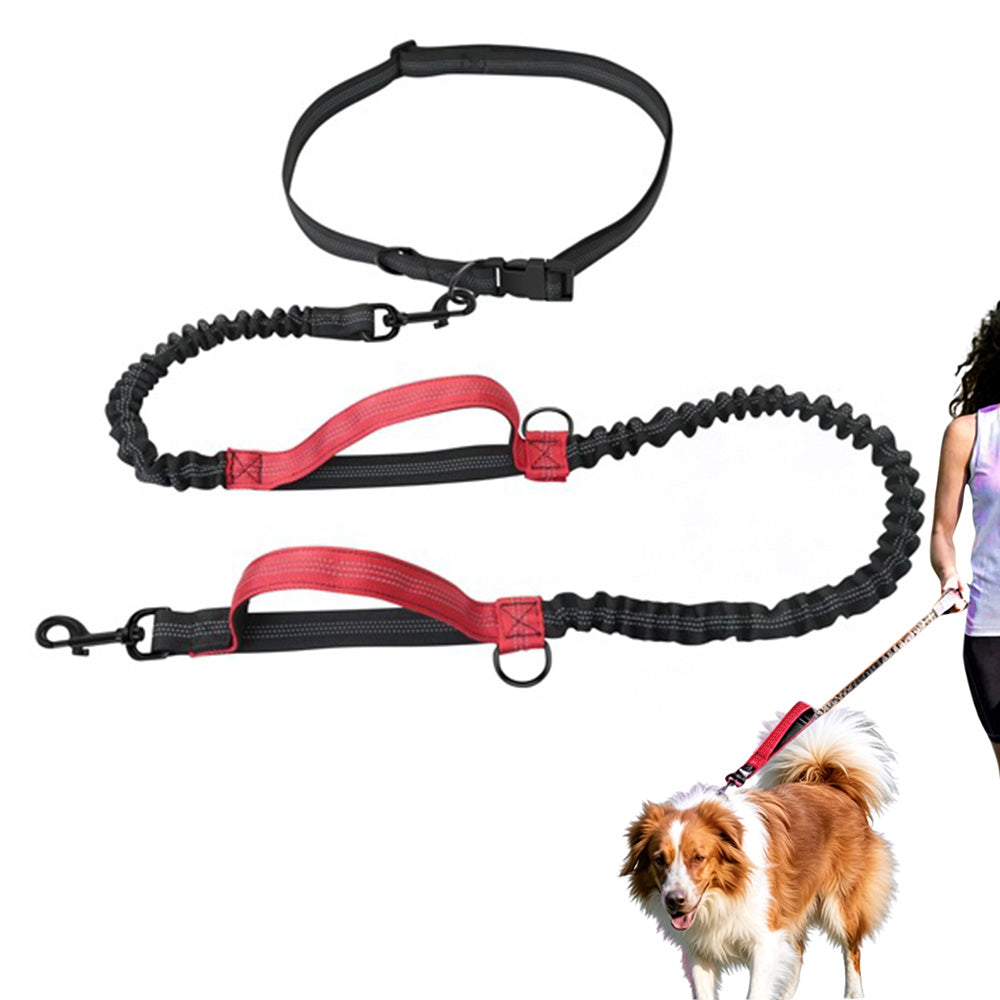 2 in 1 Hands Free Running Dog Leash for Walking Jogging