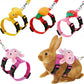 4Pcs Adjustable Rabbit Leash and Harness Set with Vest Style for Small Pets