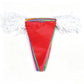 Colorful Triangle Pennant Banner Flags Set for Weddings Ceremonies Parties and Festivals