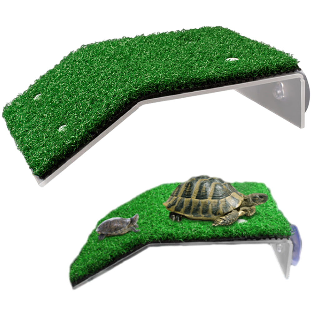 Cora Turtle Basking Platform Ramp Reptile Resting Terrace Simulation