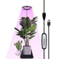 Grow Light for Indoor Plants with 20 LED Full Spectrum and Adjustable Brightness