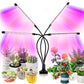 Grow Light for Indoor Plants with 9 Dimmable Levels Red Blue Spectrum Plant Light