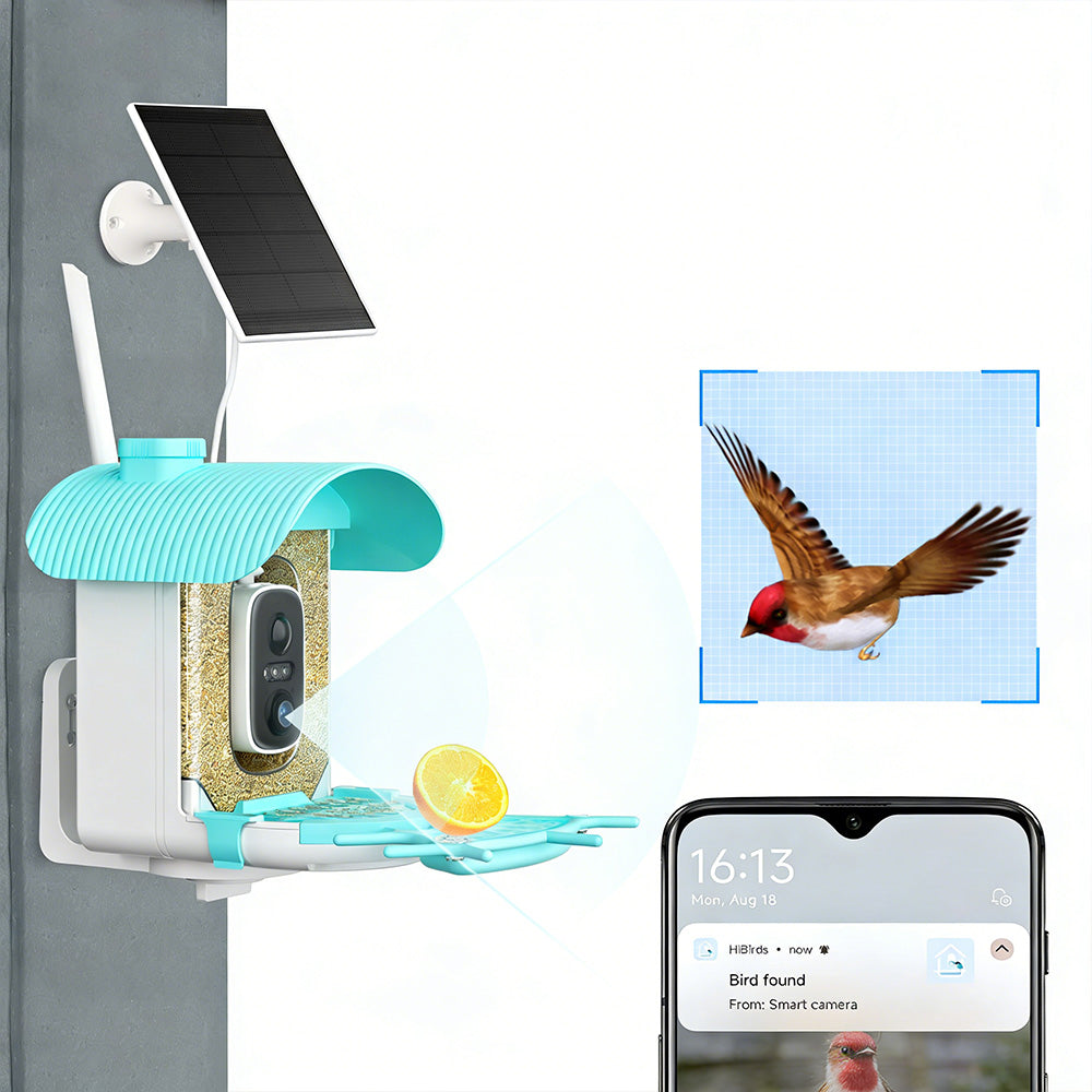 Smart Bird Feeder with Camera AI Identify 10000+ Birds Solar Powered Outdoor Live View for Bird Lovers