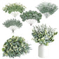130Pcs Artificial Eucalyptus Leaves Bundle 5 Types for Vase Wedding DIY Home Decor