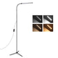Modern LED Floor Lamp Standing Lamp Gooseneck Dimmable Modern Standing Light
