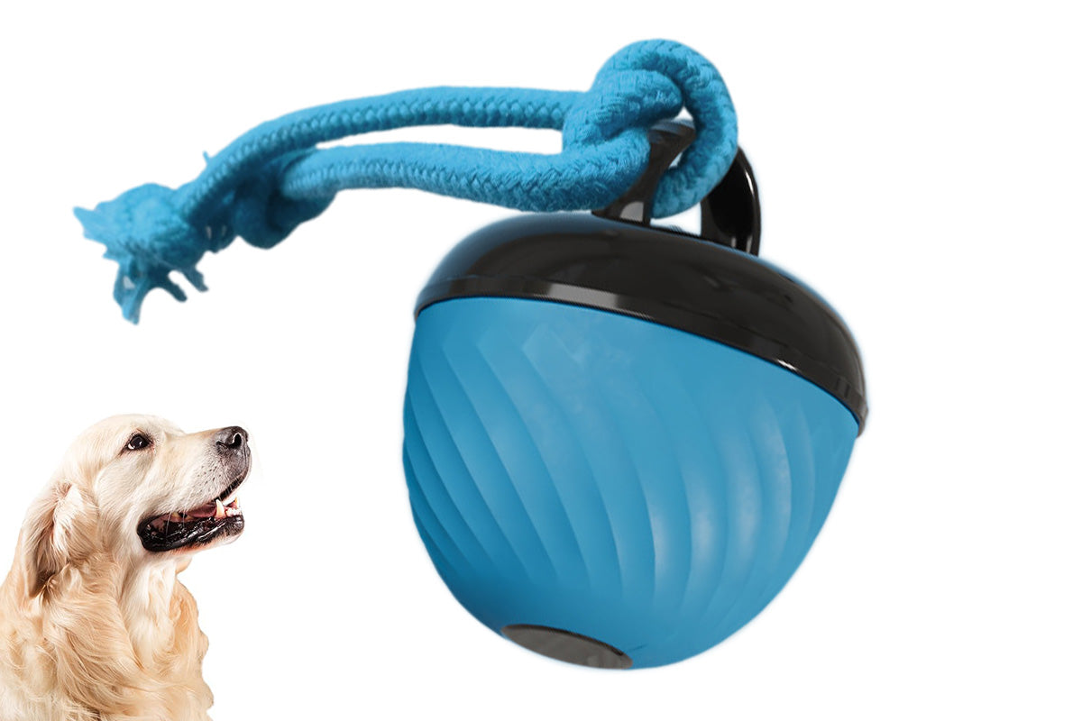 Squeaky Dog Toy Active Rolling Ball Interactive Dog Toys With Motion Activated