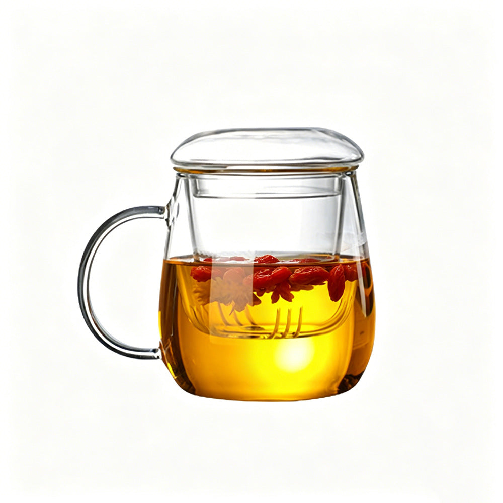 Glass Tea Cup with Infuser and Lid Borosilicate Tea Mug for Loose Leaf Tea