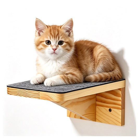 Wall Mounted Cat Climbing Shelf Cat Ladder Cat Wall Furniture Steps