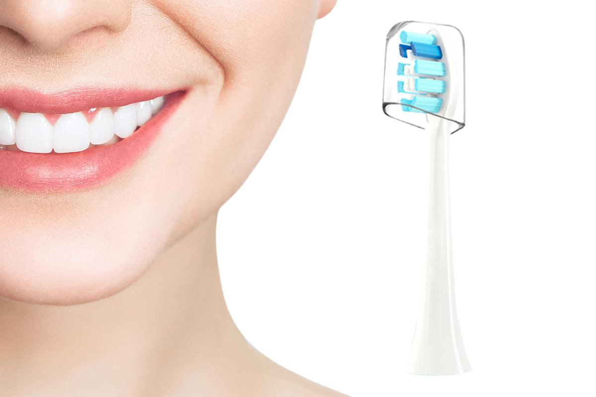 Single Replacement Toothbrush Head with Dust Cover Compatible with Philips Electric Toothbrush Models