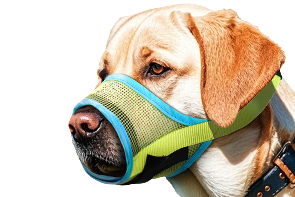 Dog Muzzle Air Mesh Adjustable Mouth Guard for Bark and Scavenging Prevention-Green