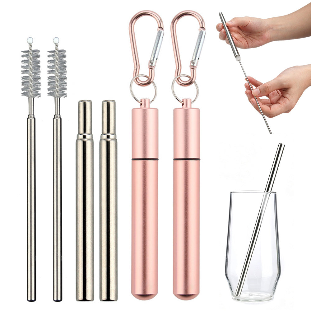2 Pack Collapsible Stainless Steel Travel Straws with Keychain Cases