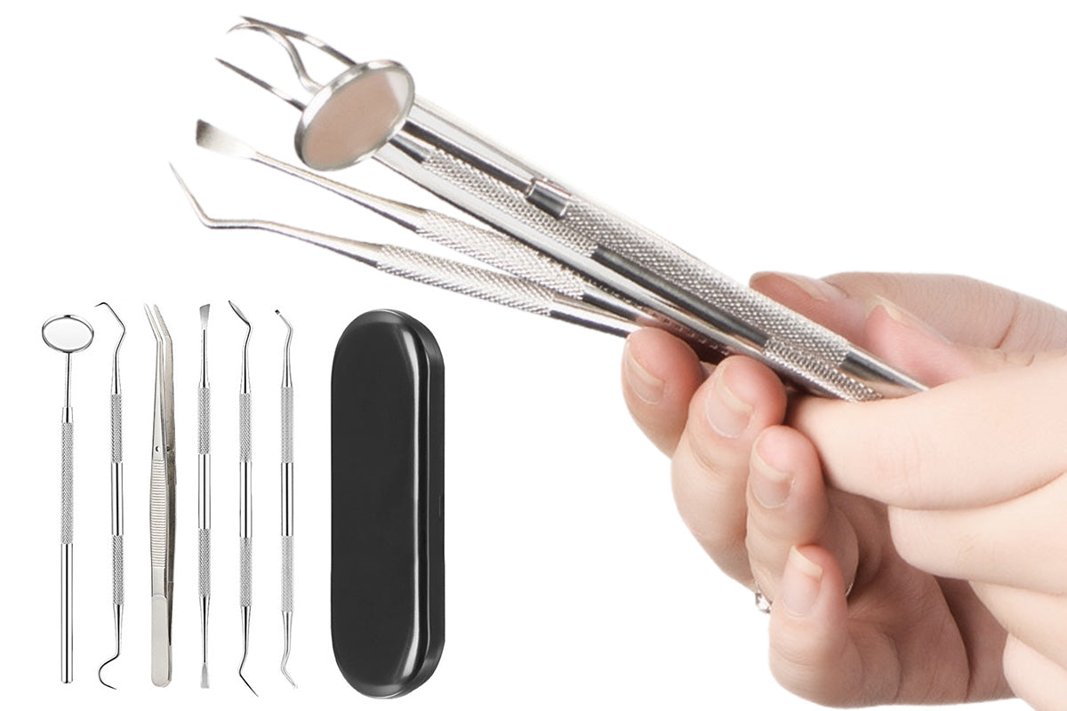 Professional Dental Tool Kit 6 Piece Stainless Steel Oral Care Set