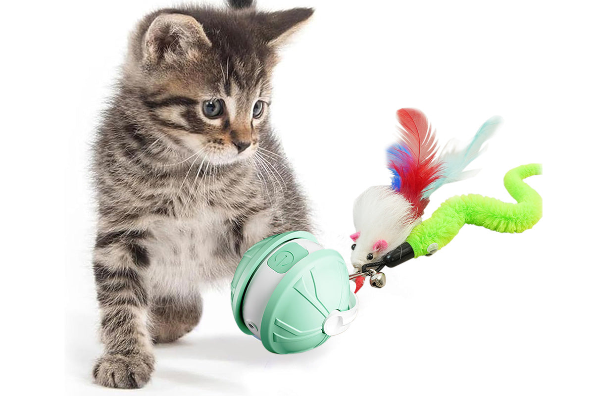 Interactive Dog Toys Electric Automatic Smart Pet Toys Rolling Ball Toys For Small Dogs