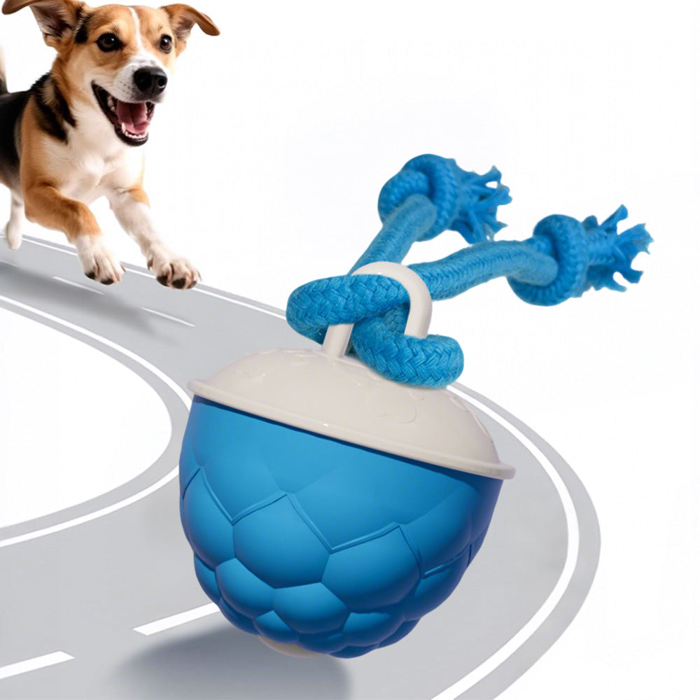 Interactive Dog Toys Touch Activated Bouncing And Jumping Dog Ball With Rope