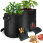 2X15 Gallon Potato Grow Bags with Dual Harvest Window Visible Window Non-Woven Planter Pot