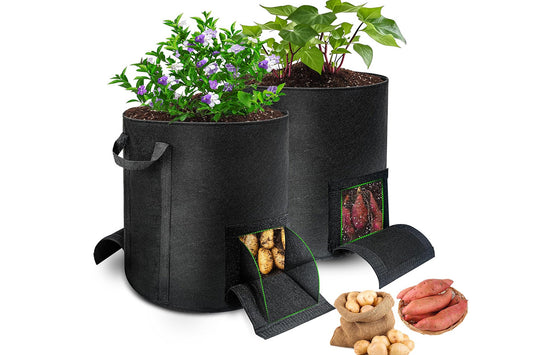 2X15 Gallon Potato Grow Bags with Dual Harvest Window Visible Window Non-Woven Planter Pot