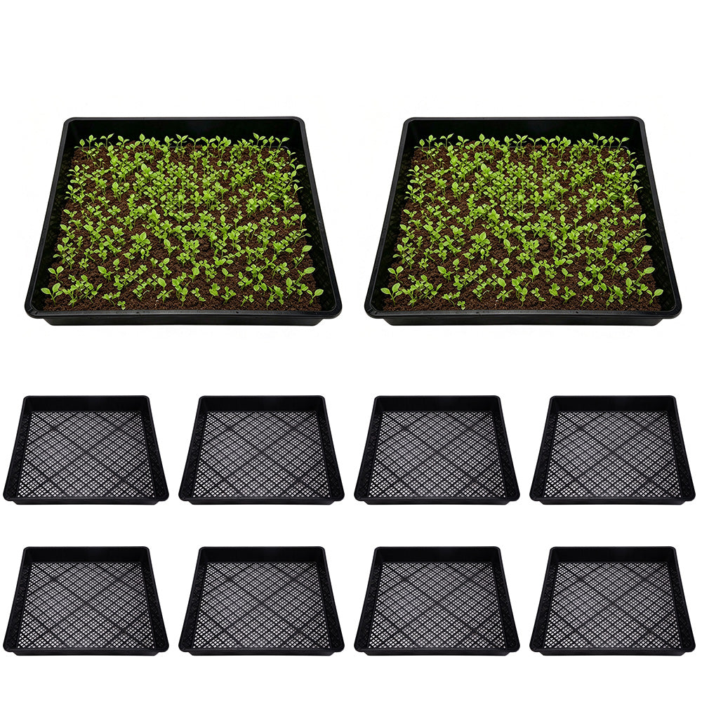 10 Pack Seedling Tray Fine Holes Plant Propagation Seedling Hydroponic Square