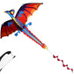 Outdoor Colorful 3D Dragon Flying Kite with 100m Tail Line 1.4m