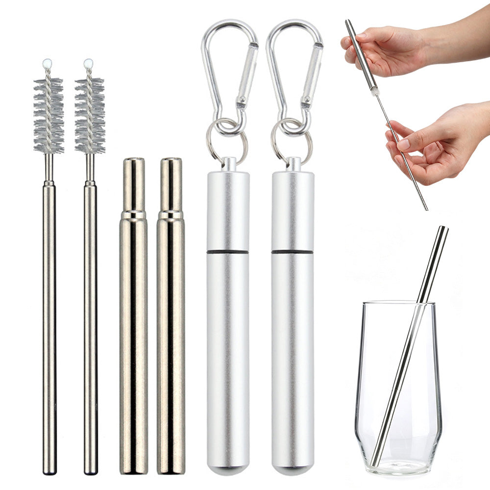 2 Pack Collapsible Stainless Steel Travel Straws with Keychain Cases