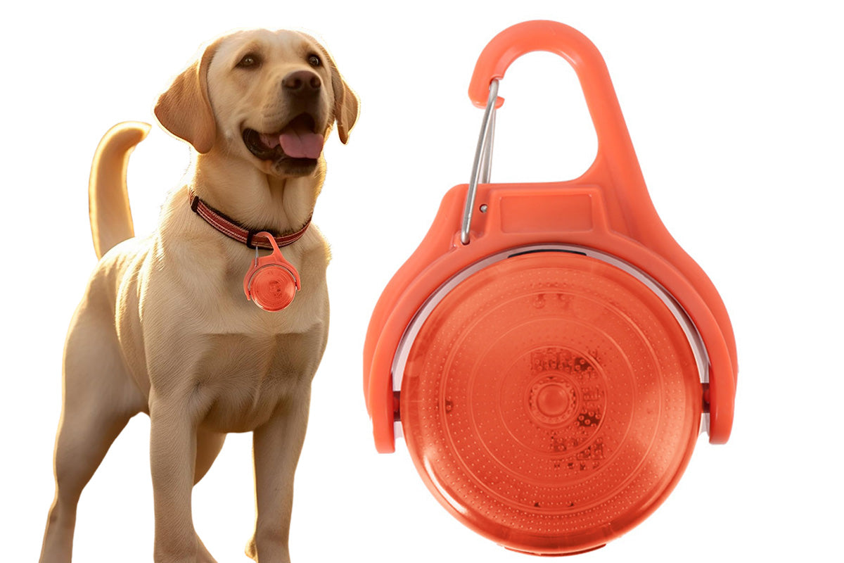 Dog Collar Light Rechargeable LED Water Resistance with 4 Modes for Night Walking