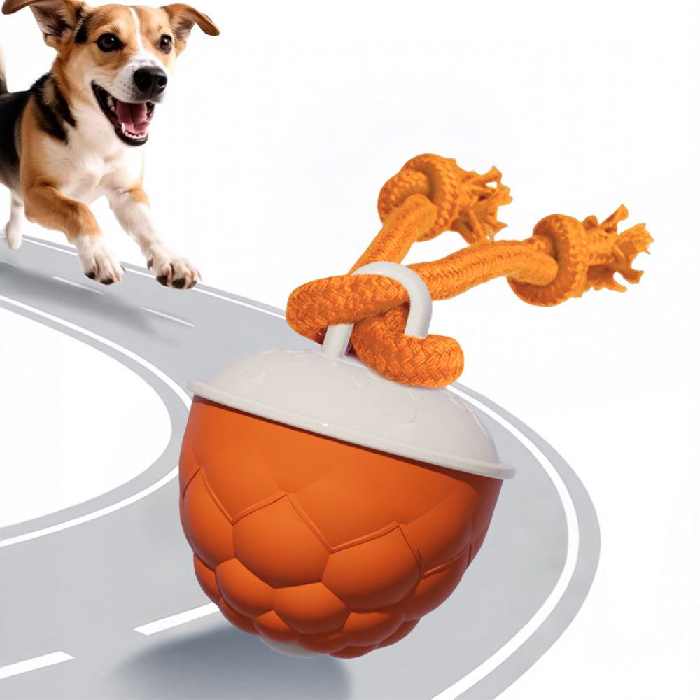 Interactive Dog Toys Touch Activated Bouncing And Jumping Dog Ball With Rope