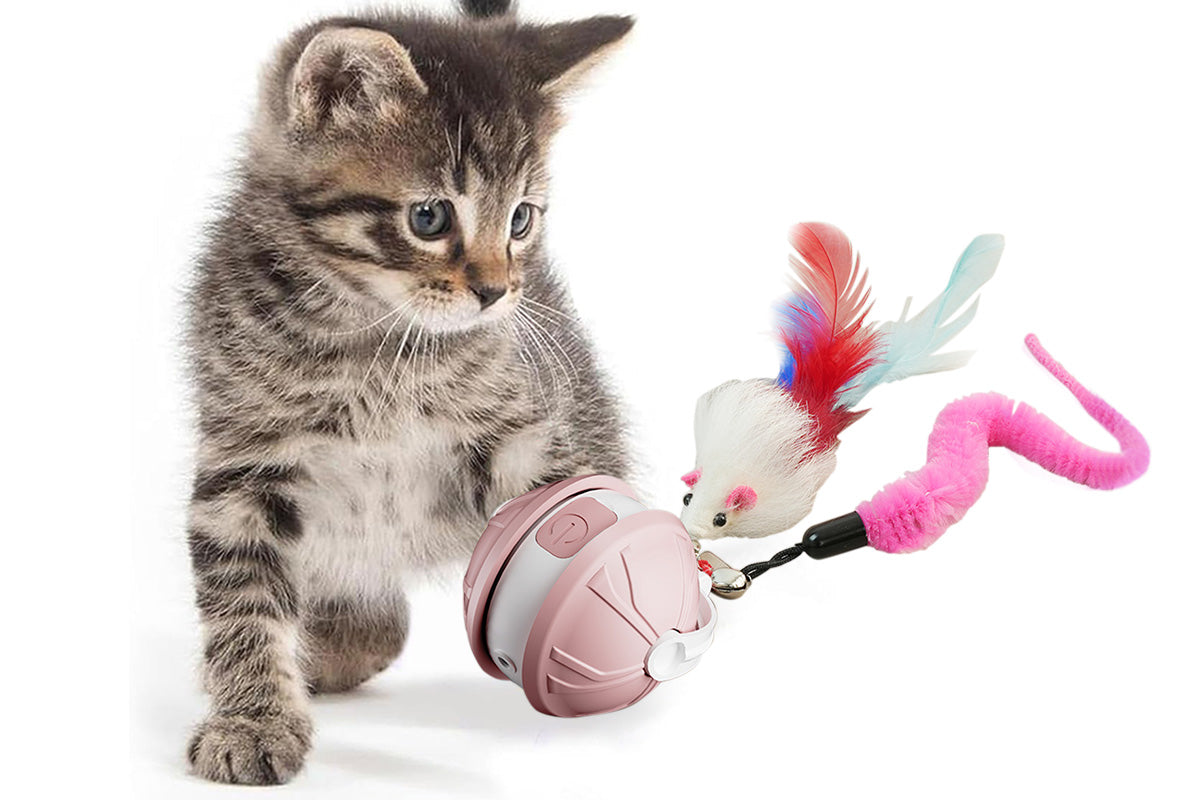 Interactive Dog Toys Electric Automatic Smart Pet Toys Rolling Ball Toys For Small Dogs