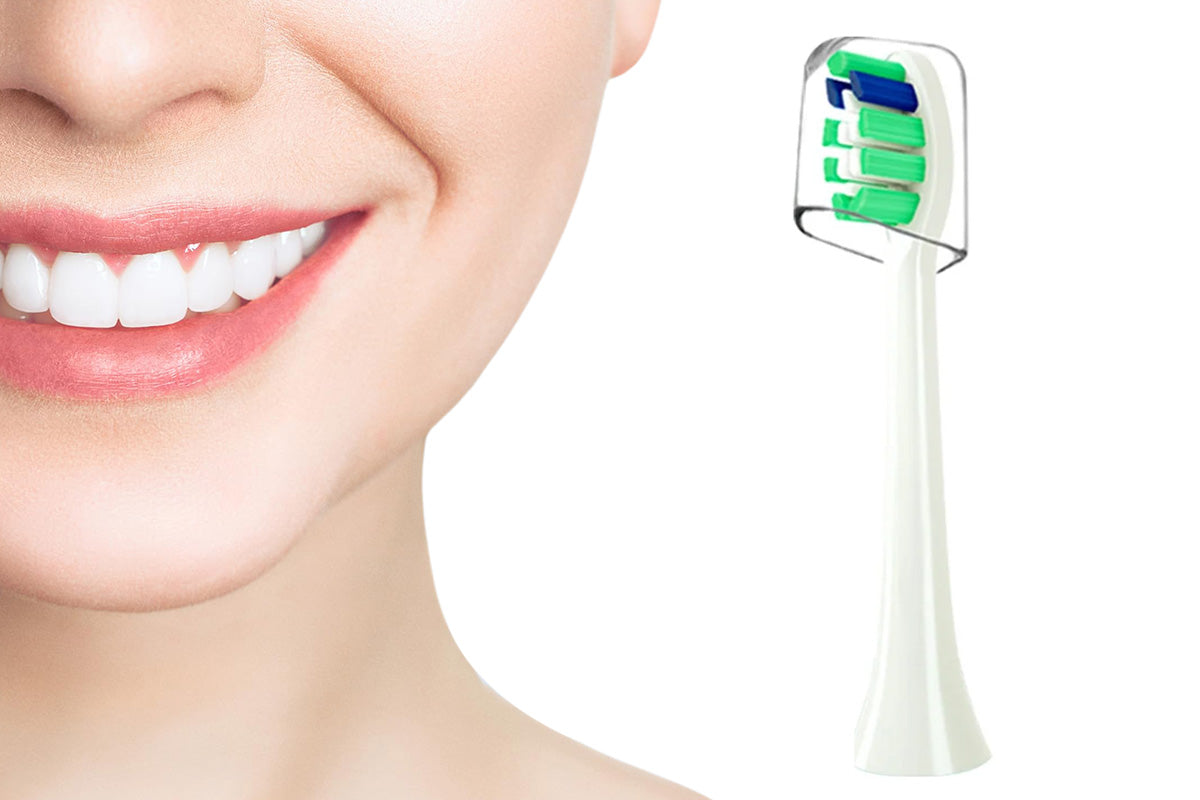 Single Replacement Toothbrush Head with Dust Cover Compatible with Philips Electric Toothbrush Models