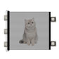 Retractable Dog Gate for Outdoor Staris Hallways Doorways No Drill