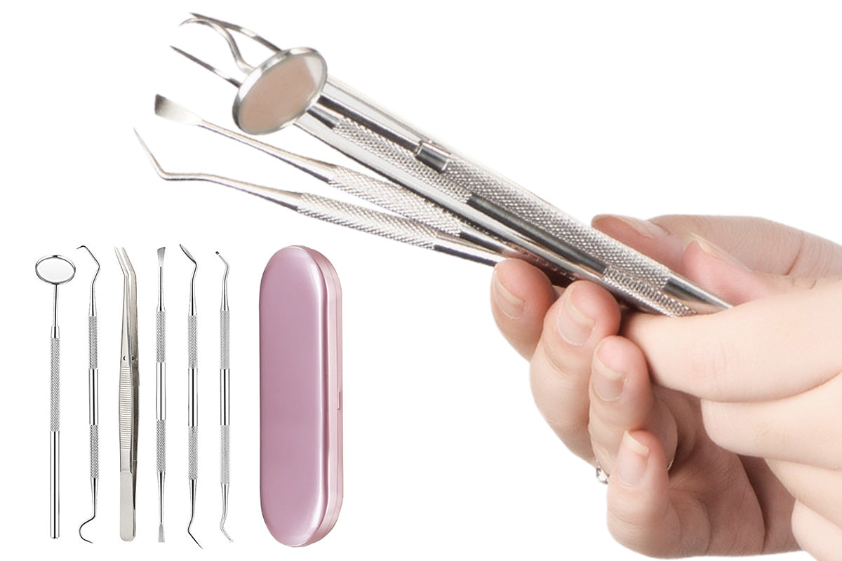 Professional Dental Tool Kit 6 Piece Stainless Steel Oral Care Set