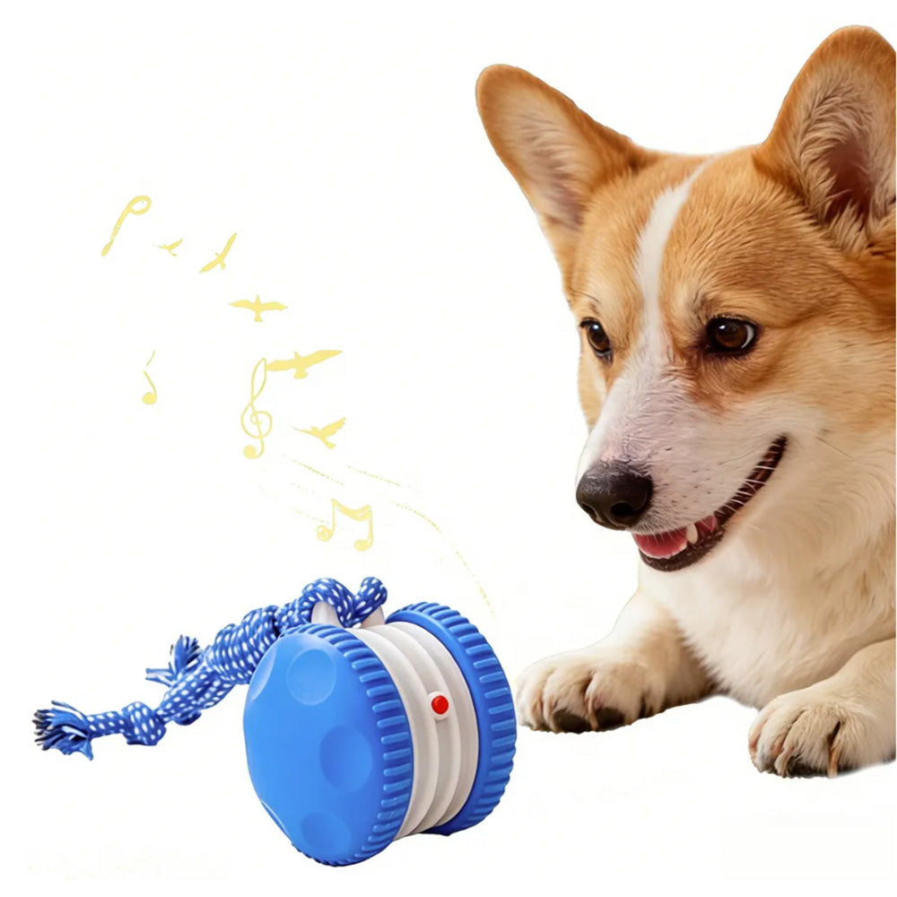Interactive Pet Rolling Ball Toy Rechargeable Automatic Play Ball for Cats and Dogs