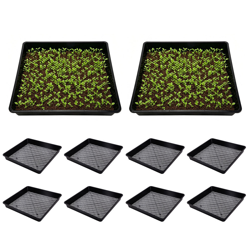10 Pack Seedling Tray Fine Holes Plant Propagation Seedling Hydroponic Square