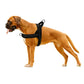 Breathable Mesh Padded Dog Harness No-Pull Vest
