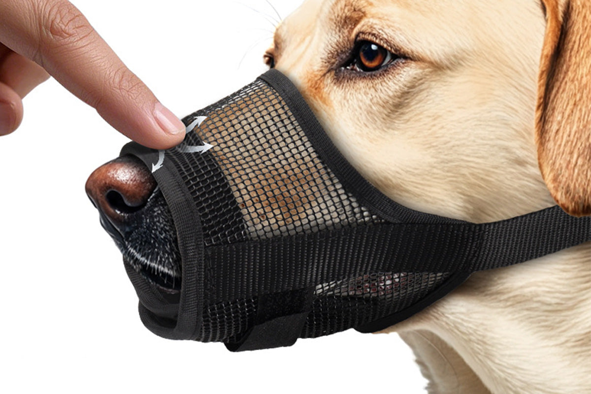 Dog Muzzle Air Mesh Adjustable Mouth Guard for Bark and Scavenging Prevention-Black